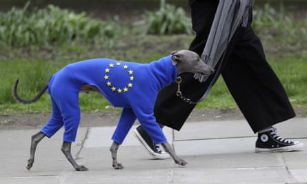 Dog in an EU cape