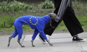 A dog at a People’s Vote march in London, March 2019