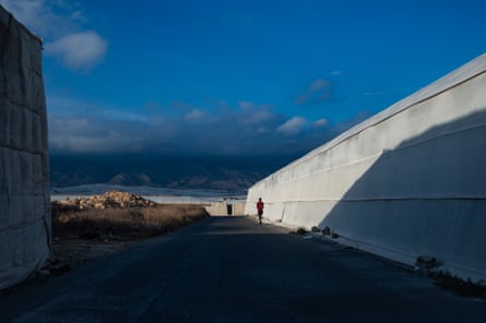 A young greenhouse worker moves between greenhouses on an electric scooter.