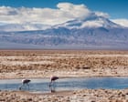 Why a Chilean salt flat is a microcosm of the extractive frontiers of green capitalism
