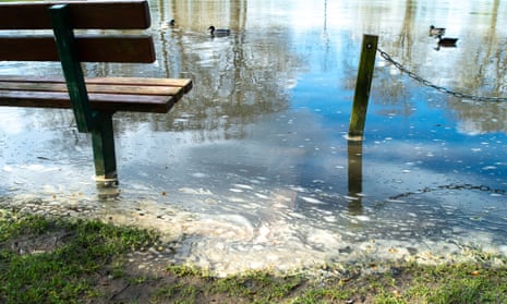 Sewage floats on the River Thames in Datchet, Berkshire.