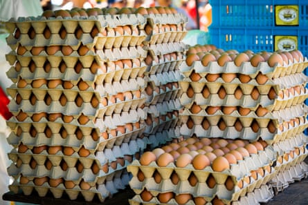 Eggs are unloaded by the hundreds.