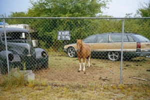 Untitled (Beware of the Dog), Alabama, 2015Prophetic Kingdom (Daylight, January 2022) is his first monograph.