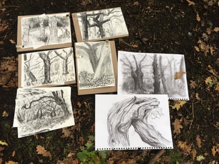 Learning To Draw In The Natural World Brings Joy Especially In Lockdown Rest And Relaxation The Guardian