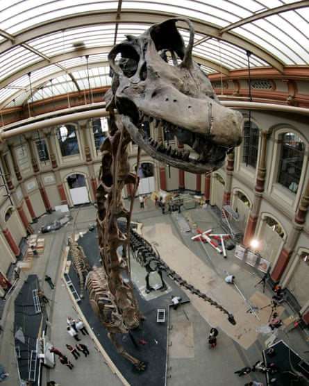 The Brachiosaurus brancai skeleton at the Museum fur Naturkunde in Berlin.