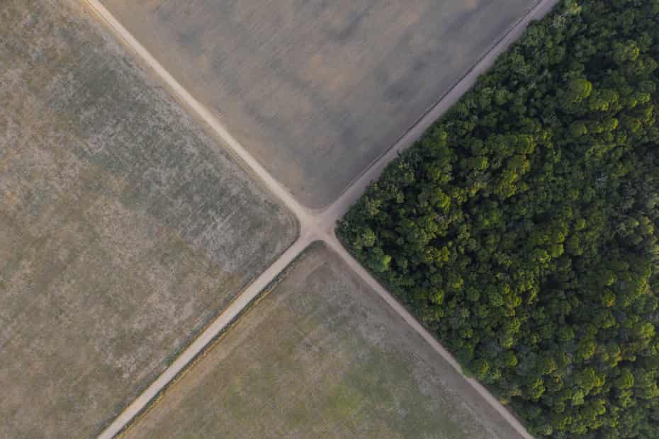 FILE - In this Nov. 30, 2019 file photo, a section of Amazon rainforest stands next to soy fields in Belterra, Para state, Brazil. A decade-long effort by the world to save the world's disappearing species and declining ecosystems has mostly failed so far, with fragile ecosystems like coral reefs and tropical forests in even more trouble than ever, according to a United Nations biodiversity report released on Tuesday, Sept. 15, 2020. (AP Photo/Leo Correa)