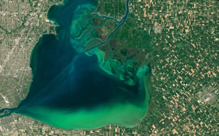Satellite image of bright green plumes spreading across a lake surrounded by a patchwork of fields