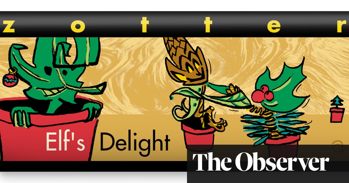 Notes on chocolate: a festive box in a bar