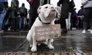 A dog holds a sign that reads âWe do not have voice nor vote... you doâ as hundreds demonstrate on the occasion of the global climate strike, in the Bolivar Square of Bogota, Colombia.