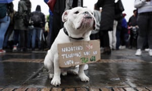 A dog holds a sign that reads â€˜We do not have voice nor vote... you doâ€™ as hundreds demonstrate on the occasion of the global climate strike, in the Bolivar Square of Bogota, Colombia.