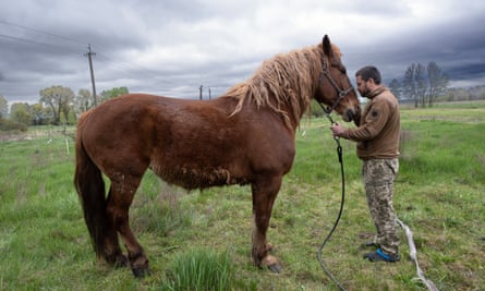 Volodomyr Kucherenko, a 34-year-old former soldier in Ukraine who has suffered psychological problems, with one of the horses on his farm