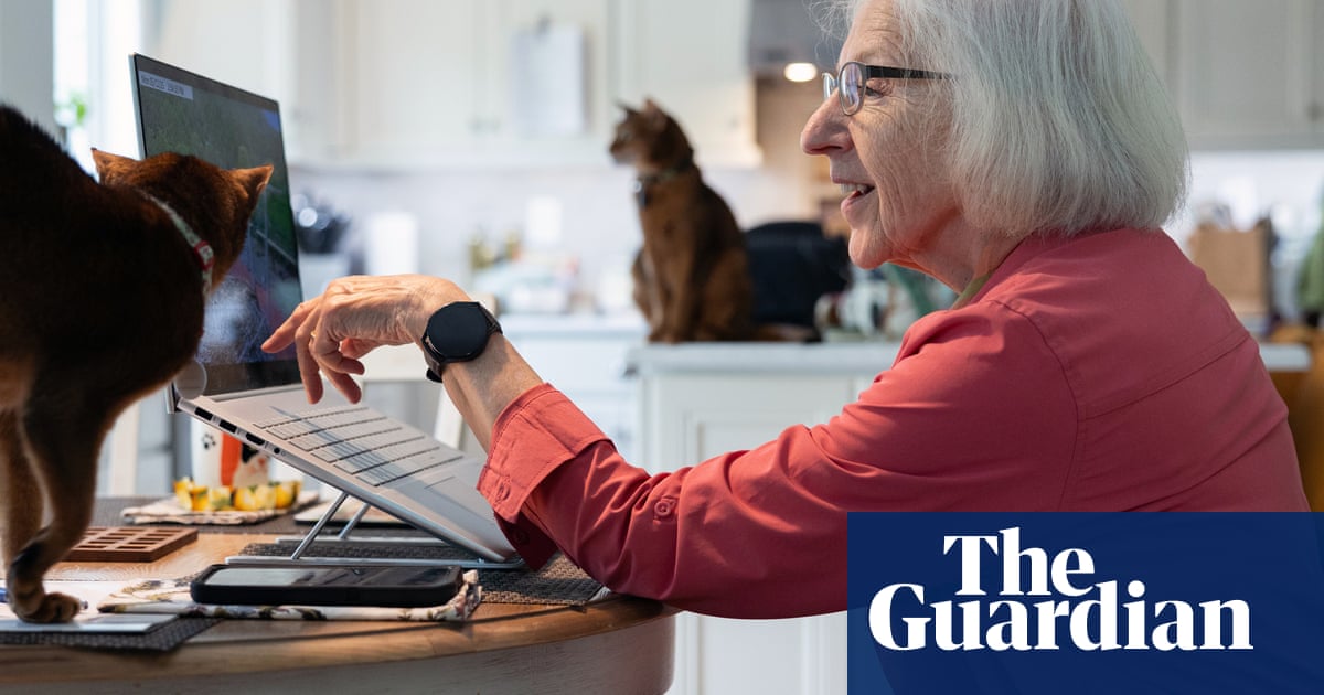 I was watching osprey for five hours a day': how the world fell in love with nature live streams