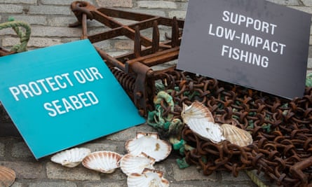 Placards in Edinburgh last month as campaigners took the Scottish government to court over fishing practices
