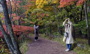 People wearing face masks to help curb the spread of the coronavirus take pictures while walking along a path as the trees begin to change fall foliage colours Monday, 26 October, 2020, in Nagano, northwest of Tokyo, Japan.