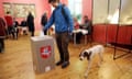 A voter, holding his dog on a leash, casts his ballot: he is posting the card into a tall box with a red emblem on it in a room with reddish-pink-painted walls and a varnished pale wooden floor. Polling staff and other voters can be seen in the background, and there are paintings on the wall; the young man with the dog wears a blue hooded anorak and has a rucksack on his back, and his dog is white with dark brown, long floppy ears.