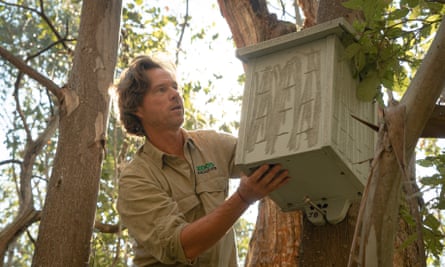Dan Harley putting up a nest box for Leadbeater’s possums.