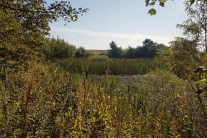 From a wood-chipped clearing, there's a glimpse of the pond