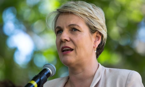 Labor’s deputy leader, Tanya Plibersek, says claims by the anti-abortion group Cherish Life are ‘complete rubbish’. 