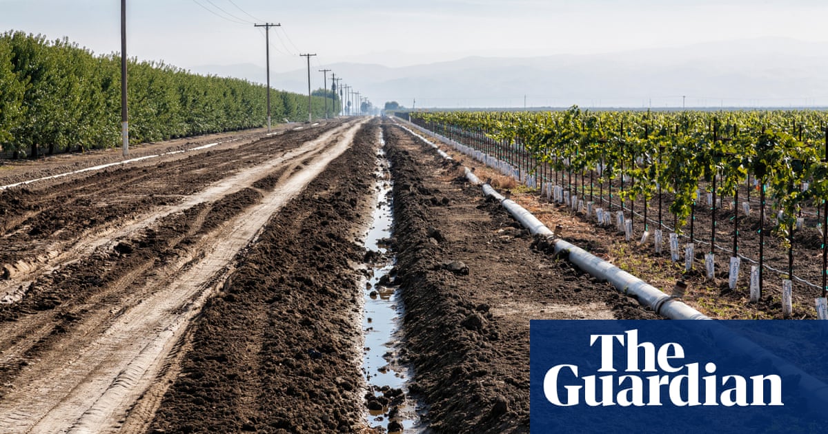 California cracks down on water pumping: ‘The ground is collapsing’ | California | The Guardian