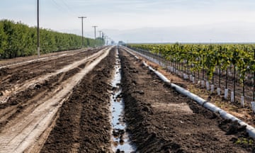 Irrigation ditch running next to vineyard and almond orchard. Rod Cardella runs Cardella Winery, a family business since 1969, which grows almonds, broccoli and other crops as well as grapes. With the high price of water in recent years, Rod has turned to technology and drip irrigation to lower water usage and like many other farmers is planting high value crops such as almonds. Fresno County, San Joaquin Valley, California. (Photo by: Citizens of the Planet/Education Images/Universal Images Group via Getty Images)