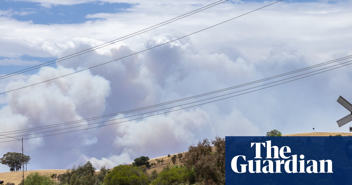 Ten properties in Ruffy destroyed, including firefighter’s home, as fire hits Victorian town ‘like a bomb’