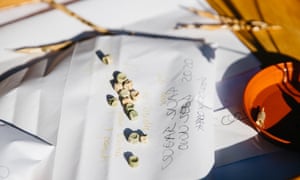A demonstration of last season's saved seeds in Deidre Pyzer's garden.