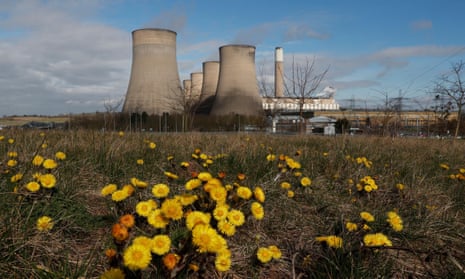 Flowers grow near Ratcliffe-on-Soar power station in Nottinghamshire.