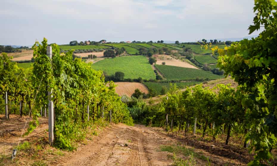 Abruzzo … ‘It seems we see the region only as a source of bargain-basement drinking.’