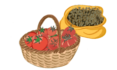 Illustration of tomatoes and lentils