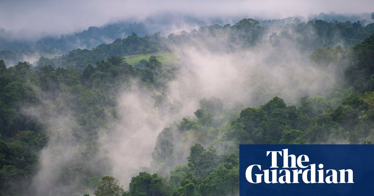 Papua New Guinea faces severe food shortages as El Niño brings frost and drought