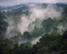 Papua New Guinea faces severe food shortages as El Niño brings frost and drought