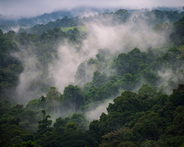 Papua Yeni Qvineyada El Nino quraqlıq və don təhlükəsi yaradır