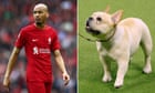 Football transfer rumours: Fabinho's dogs to scupper £40m Saudi move?