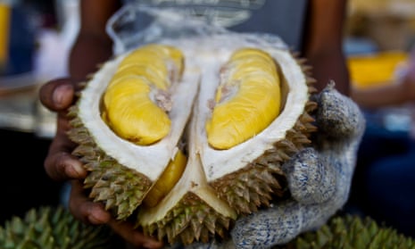 a durian fruit cut open
