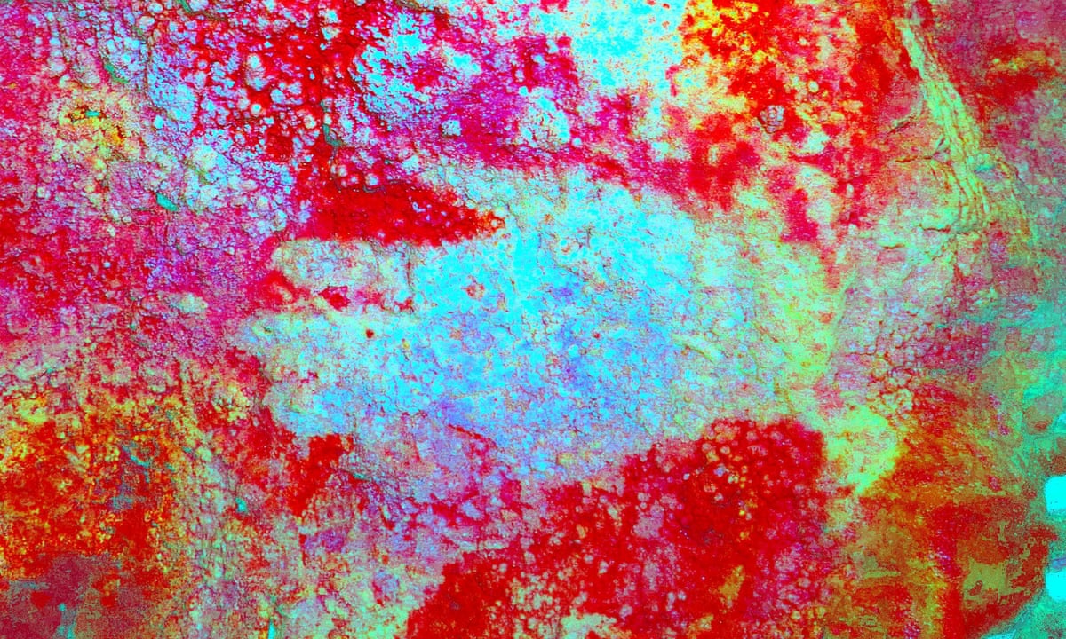 So Neanderthals Made Abstract Art This Astounding Discovery