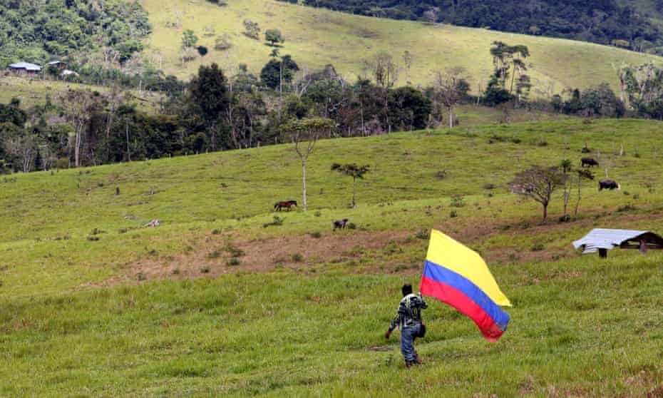 A man holding a Colombian flag walks in Meta, Colombia. ‘The Farc would limit logging to two hectares a year in the municipality,’ says the mayor of a town in the province.