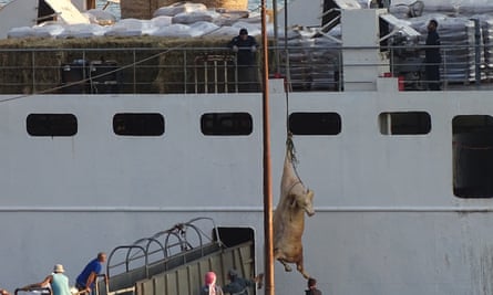 A port bull is craned on to a vessel. for export