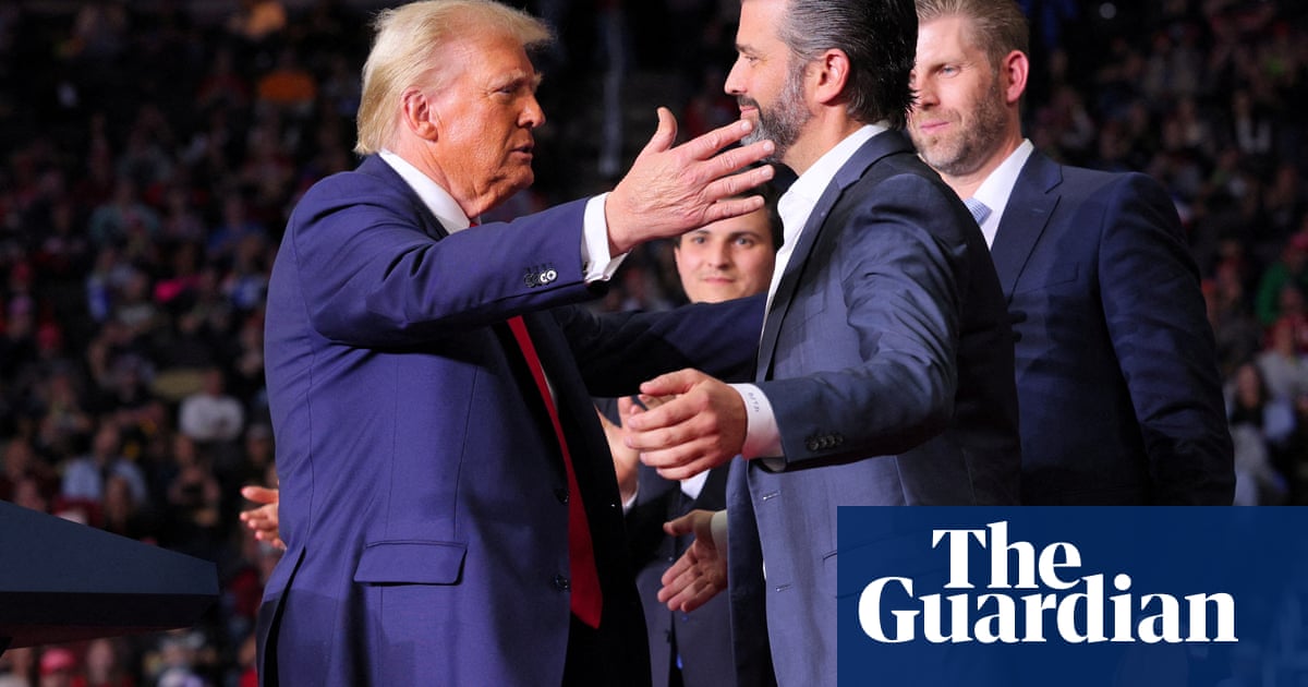 Donald Trump Jr emerges as key voice influencing father's cabinet picks - report