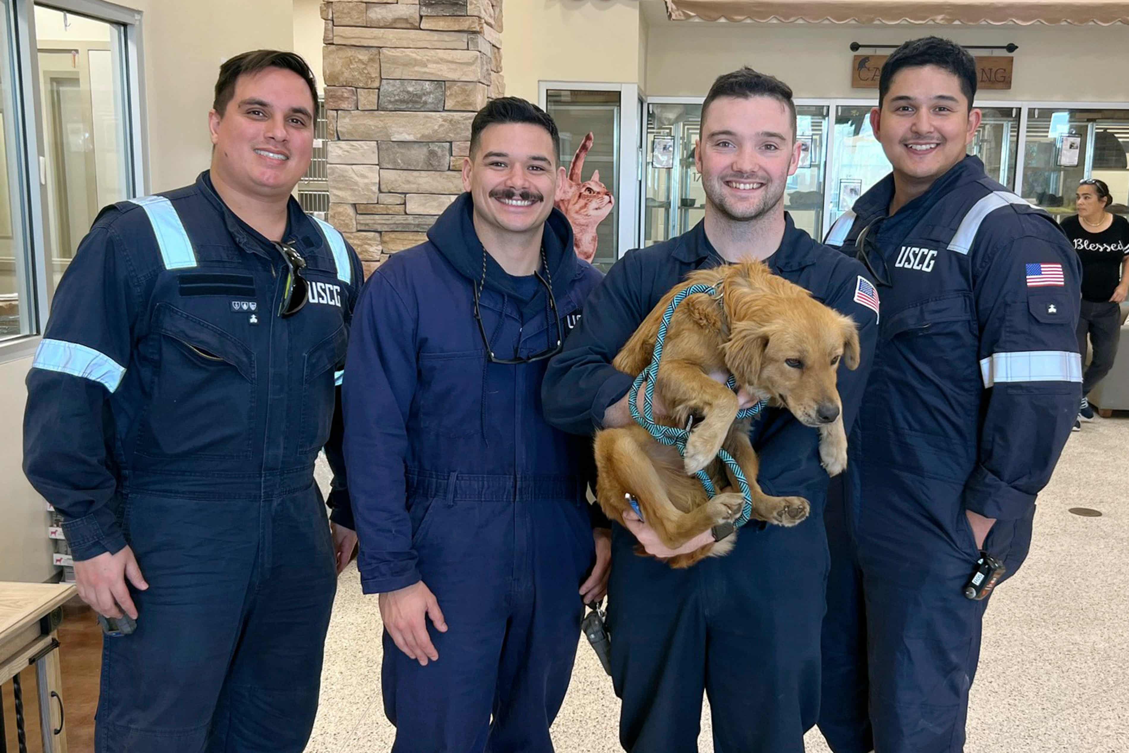 ‘It’s scratching, dude’: US Coast Guard inspectors rescue stowaway dog from shipping container (theguardian.com)