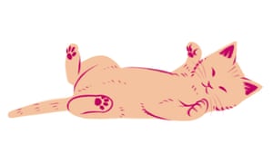 Kittens for life, not just for Christmas?