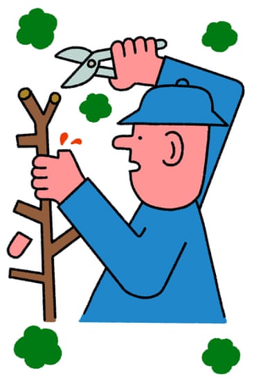 man with secateurs