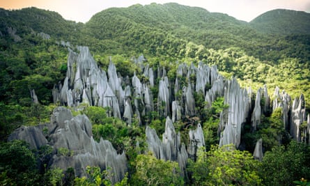 The Pinnacles, Gunung Mulu national park, Malaysia