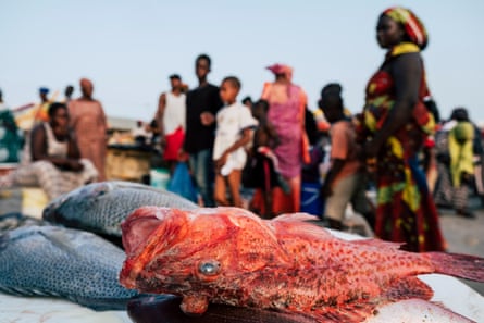 Sellers and buyers are seen at Soumbedioune fish market on October 03 2018 in Dakar, Senegal.