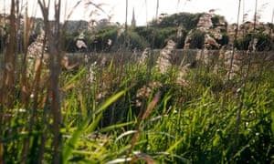View across Walthamstow marshes to a church on Stamford Hill, London, UK.