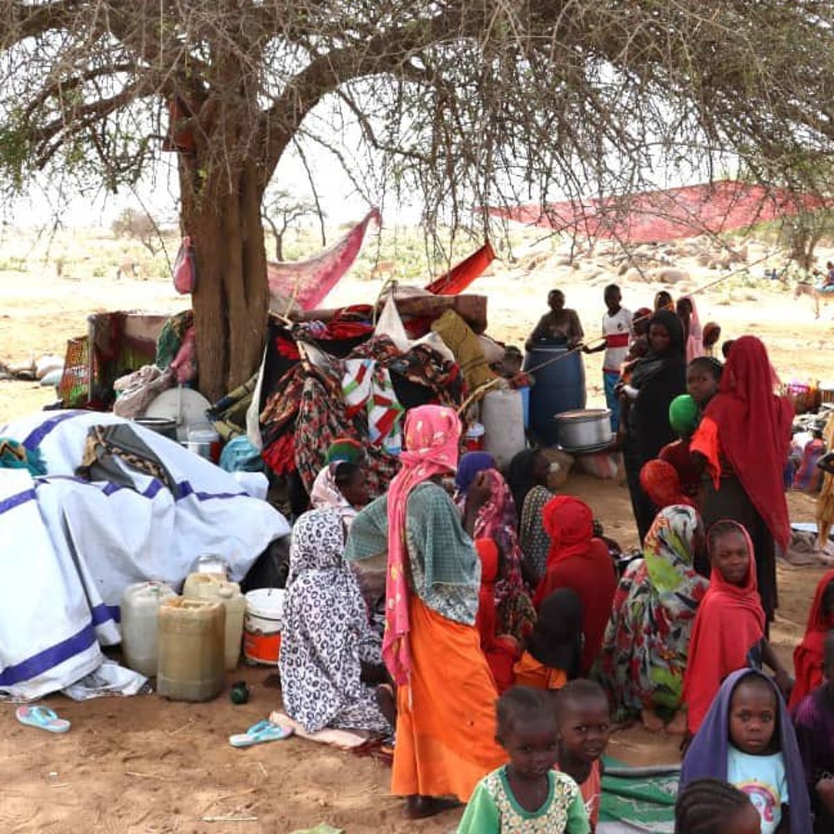 Hungry, exhausted, traumatised': Sudanese scramble to flee their ...