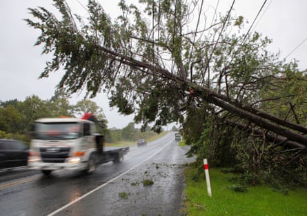 Vehicles drive past fallen trees in Auckland on Tuesday.