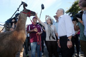 The Turnbulls meet Leo the Llama during a tour of the Sunshine Coast agricultural show at Nambour.