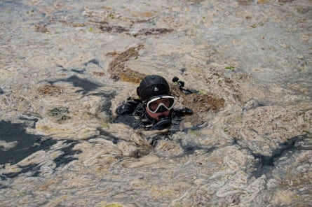 A diver’s head seen above water that is covered with a beige-colored slime