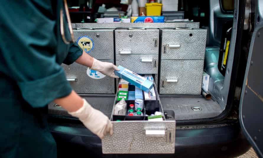 Vet Susanne Lier looks through her medicine cabinet