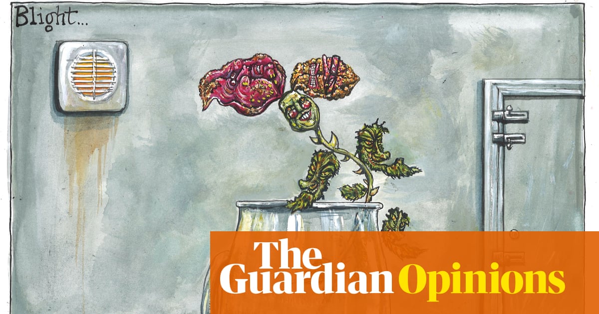 Martin Rowson on Peter Mandelson and the Labour party – cartoon